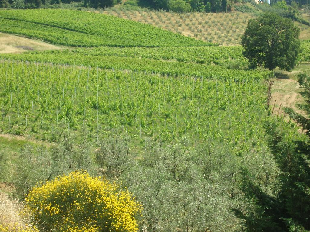 Podere Ghiole Montespertoli Exterior foto
