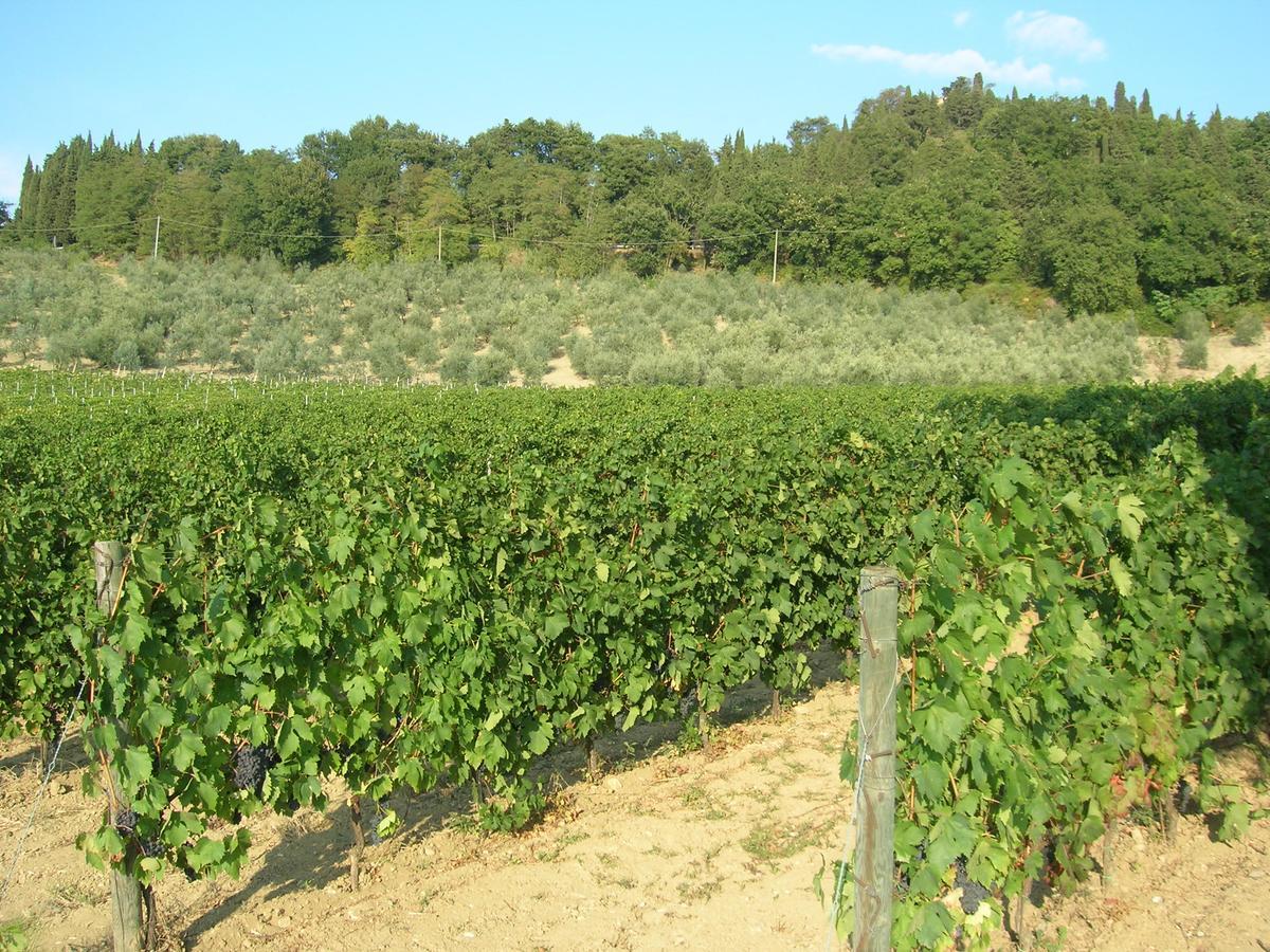 Podere Ghiole Montespertoli Exterior foto